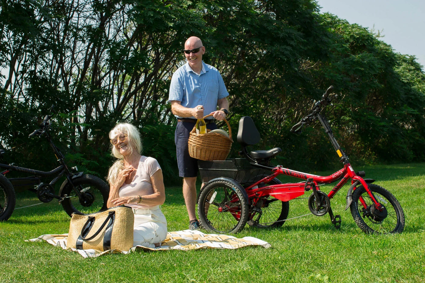 EBike Edmonton Electric Tricycles