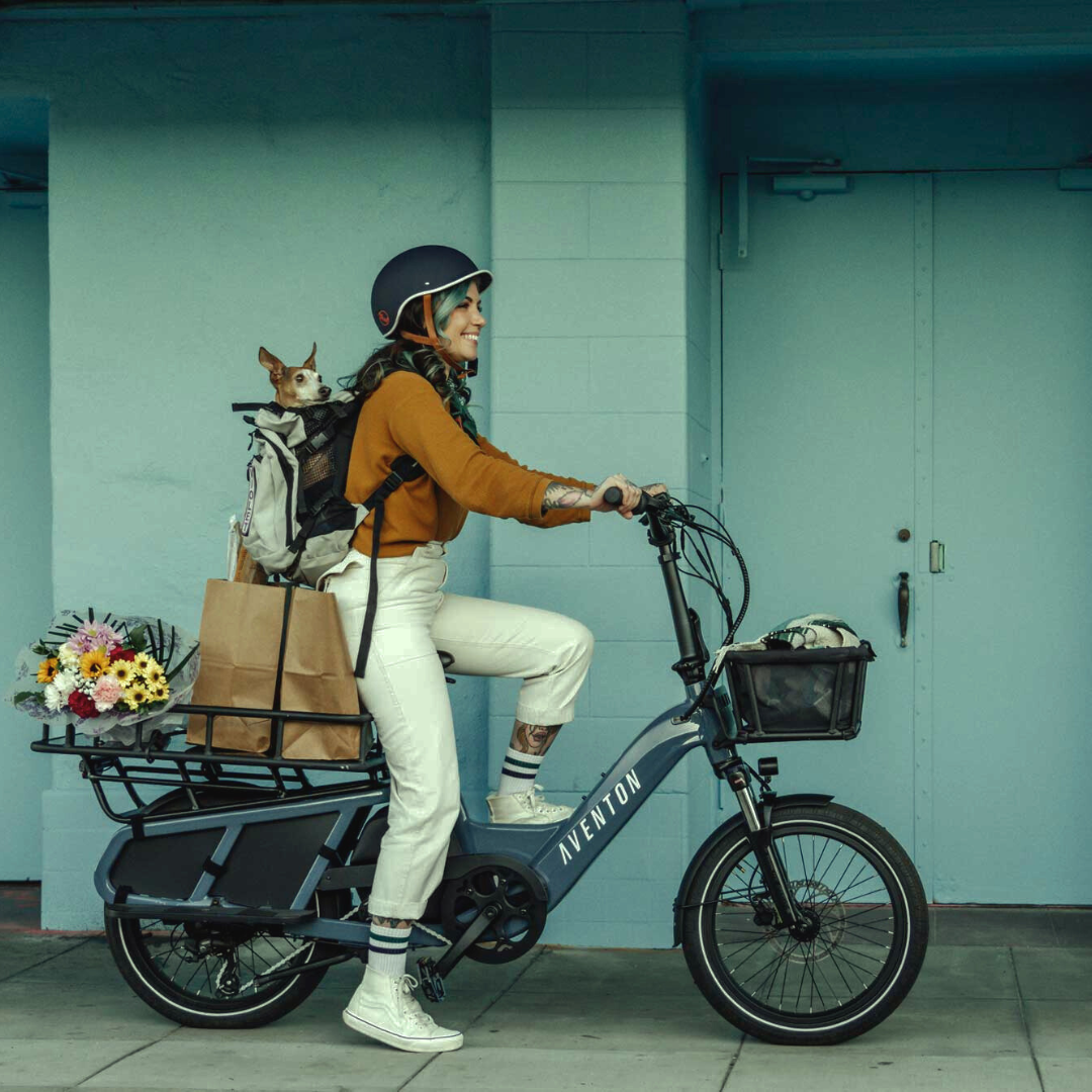 Electric Cargo Bikes