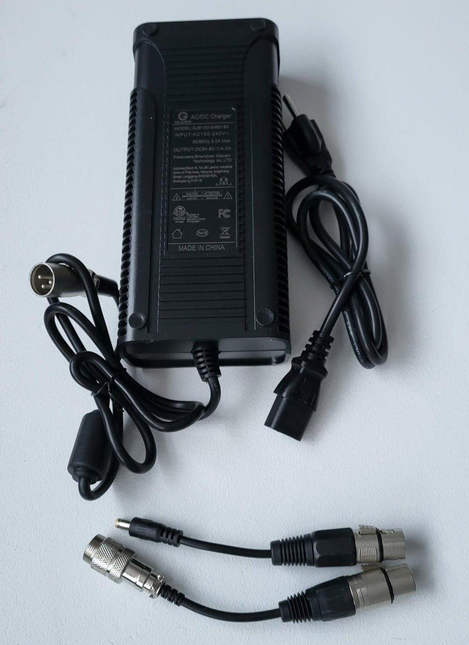 54.6V 4A Ebike Charger