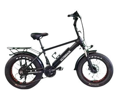 small size e bike in black color